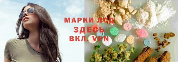 крисы Баксан