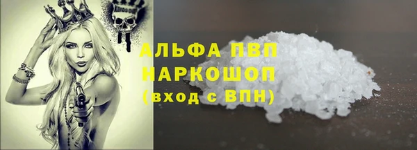 гашик Арсеньев