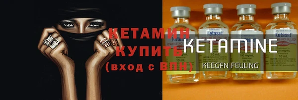 крисы Баксан