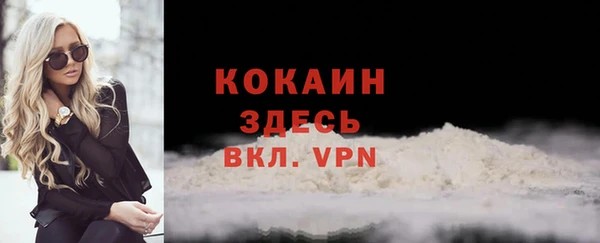 гашик Арсеньев