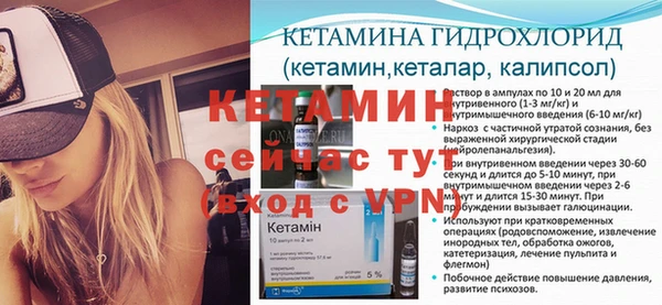 крисы Баксан