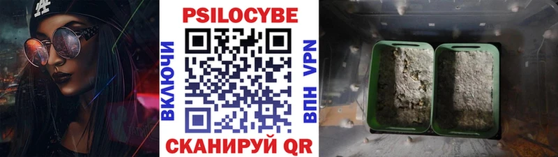 Псилоцибиновые грибы прущие грибы  Снежногорск 